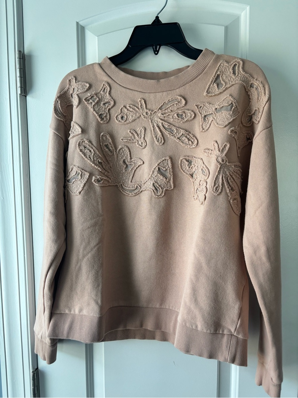 Women's Embroidered Crewneck Sweater in Blush Sz M